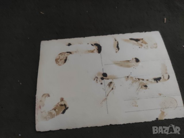 Продавам снимки Момичета с носии 22 пех .полк Дупница иоше една, снимка 4 - Колекции - 43049250