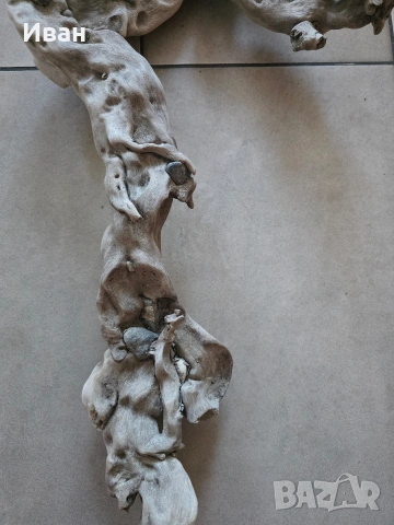 корен от дърво с камъни в него, снимка 5 - Декорация за дома - 53568968