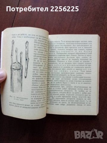 Круша, снимка 4 - Специализирана литература - 50427193