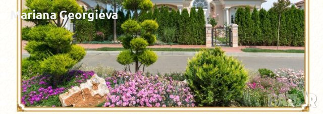 Луксозни къщи в Слънчев бряг, снимка 11 - Къщи - 43351828