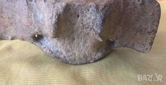 Фосил, прешлен от праисторически кит, снимка 7 - Други ценни предмети - 43285802