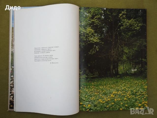 Времена Года, Годишните времена - Фото албум Поезия 1978 руски език, 40 см, снимка 7 - Специализирана литература - 52087712