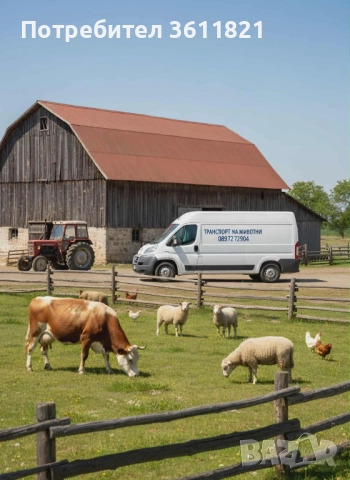 Транспорт на животни , снимка 2 - Транспортни услуги - 52577708