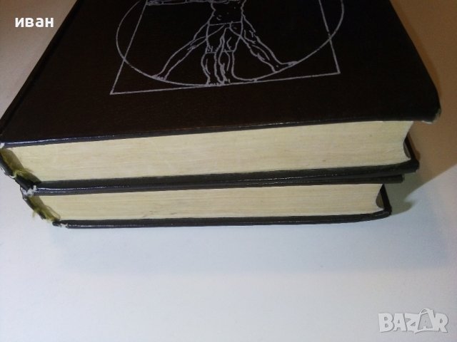 Анатомия Человека 1 и 2 том - Е.Борзяк,Л.Волкова,Е.Доброволская,В.Ревазов,М.Сапин - 1993г., снимка 17 - Специализирана литература - 38687965