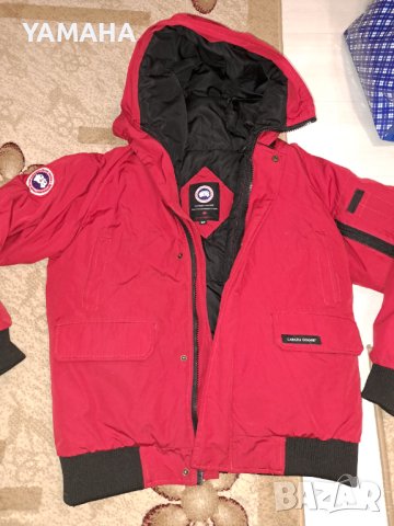 Canada goose  Мъжко  Яке. М