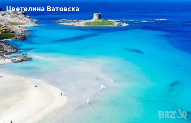 Етерично масло от семена на сладко и горчиво резене, снимка 2 - Други - 47389773