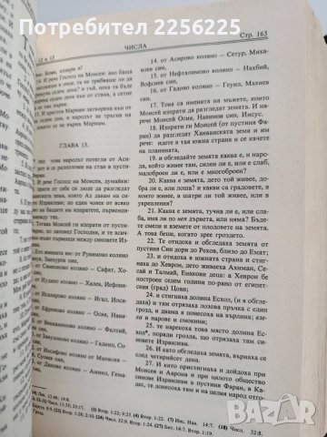 Библия 1982г, снимка 5 - Специализирана литература - 53494361
