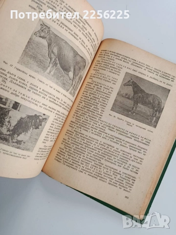 Хранене и развъждане на селско - стопанските животни, снимка 11 - Специализирана литература - 53291527