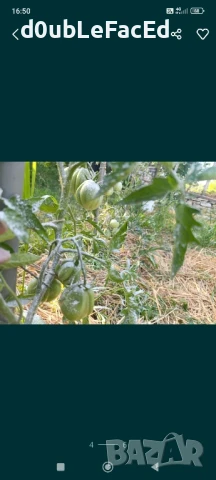 Каменно брашно за градината , снимка 4 - Градински мебели, декорация  - 51169465