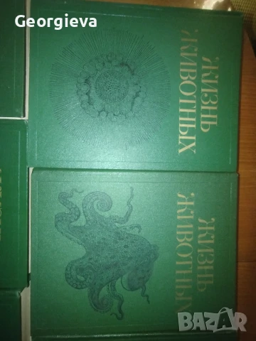 енциклопедия жизнь живот ни, снимка 5 - Енциклопедии, справочници - 51382271