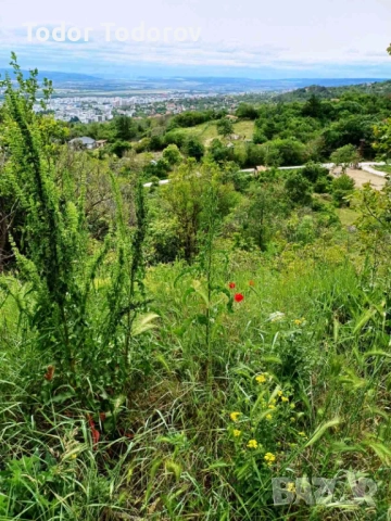 Собственик продава парцел местност "Сълзица" , снимка 1