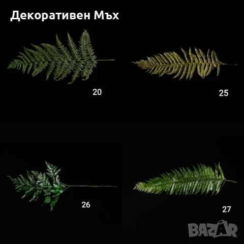 Стабилизирани естествени растения и листа - декорация, украса, арт., снимка 18 - Декорация за дома - 31836958