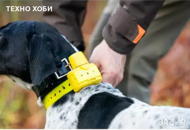 Електронен нашийник за куче , бийпър , ловна камера , Gps проследяване кучета и котки, снимка 2 - За кучета - 33529671