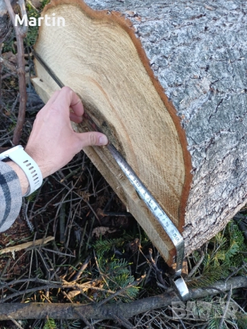 Борови трупи 3 броя - София, снимка 3 - Дърва за огрев - 52410874