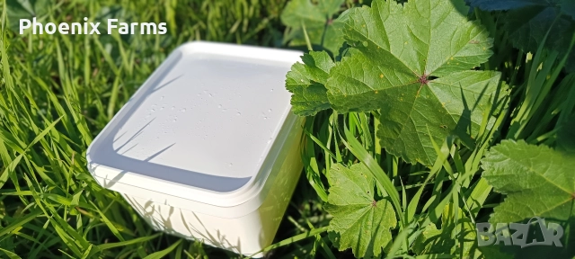 Домашно зряло краве сирене , зрял кашкавал , снимка 6 - Домашни продукти - 52590007