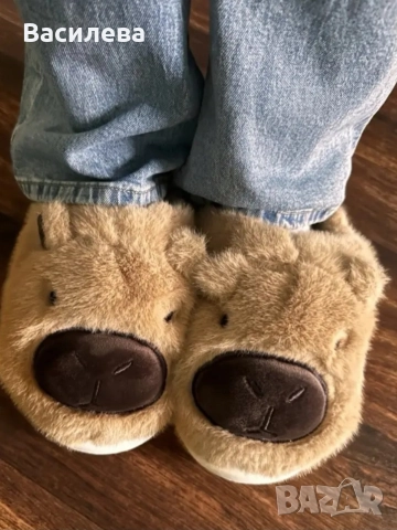 пантофи Капибара , снимка 3 - Пантофи - 52680062