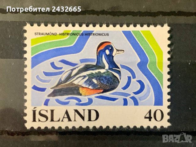 1555. Исландия 1977 = “ Фауна. Птици. Защита на природата ”, **, MNH, снимка 1 - Филателия - 40669704