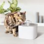 Филтриращ забавен фонтан за котки и кучета, снимка 4