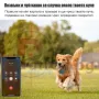 Gps за куче, снимка 11