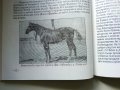 История на коневъдството в България - Д.Добрев,И.Събева, снимка 4
