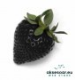 200 семена от плод черна ягода черни ягоди органични плодови ягодови семена от вкусни ягоди отлични , снимка 8