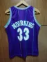 CHARLOTTE HORNETS ALONZO MOURNING CHAMPION NBA ОРИГИНАЛЕН ПОТНИК РАЗМЕР L JERSEY , снимка 2