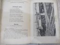 Книга "Родная речь - Е. Е. Соловьёва" - 400 стр., снимка 5