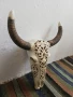 Резбован череп с разглобяеми Рога, снимка 4