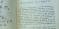 Портрет на Шункин - Джуничиро Танидзаки, снимка 2