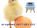 Терморегулатор за инкубатор , Температурен регулатор , Термостат 220V, снимка 1 - За птици - 29046234