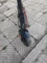 Електрическа тротинетка , снимка 3