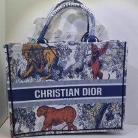 Dior чанта и чехли от 36 до 41 размер , снимка 11 - Чанти - 37123418