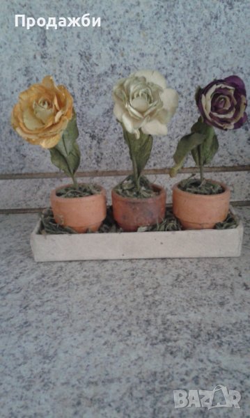 Сушени цветя, снимка 1