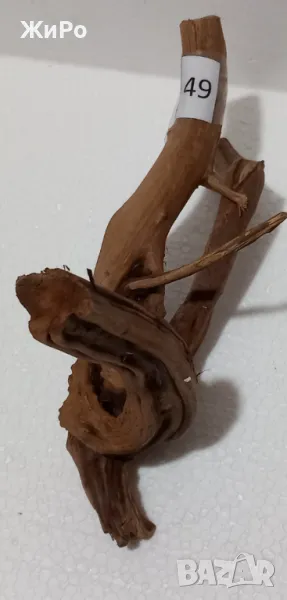 Корен от Азалия /декорация/ 49, снимка 1