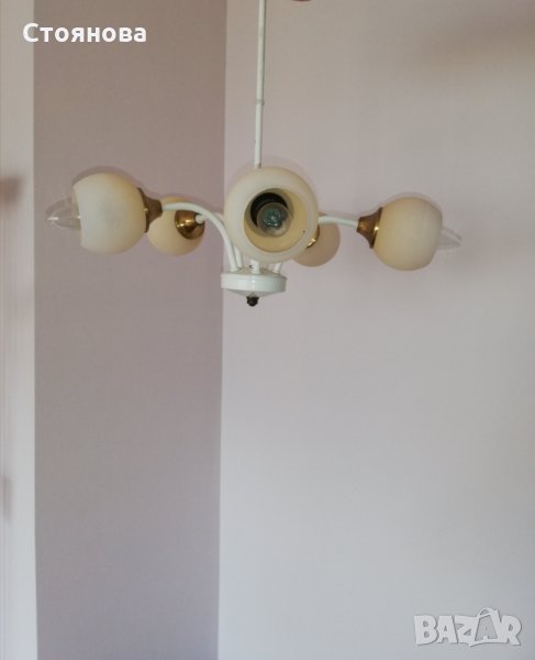 Полилей с пет бледо жълти чашки , снимка 1