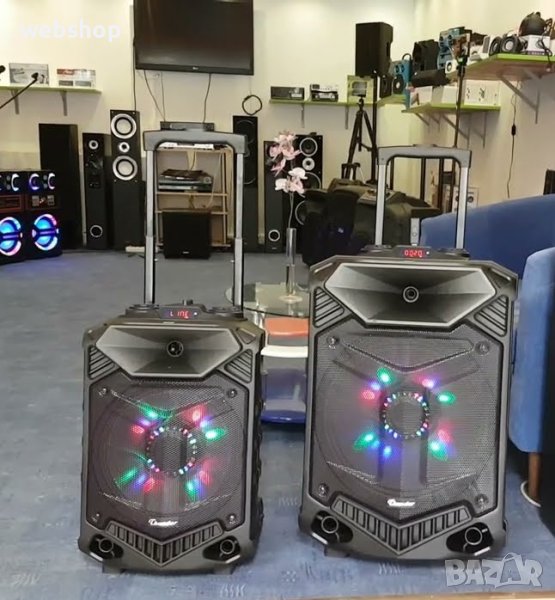 Преносима Караоке Тонколона Thunder THS-B1502BTW, 15 инча, 2 Микрофона, Акумулатор, Bluetooth, USB, снимка 1