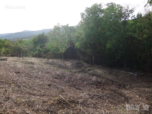 Имоти Стара Загора Баритна мина, снимка 9 - Парцели - 51502909