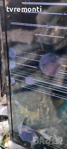 лед диоди от дисплей LSC320AN09-h02 от телевизор DYON модел ENTER 32 PRO, снимка 5 - Части и Платки - 37548099