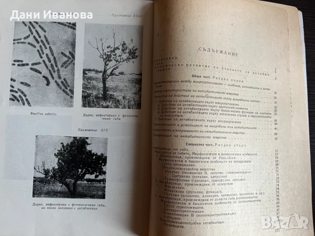 книга АНТИБИОТИЦИ - Св. Бърдаров, снимка 3 - Специализирана литература - 52683593