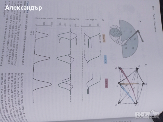 Принципи на невронните науки (на английски език), снимка 2 - Чуждоезиково обучение, речници - 44909530