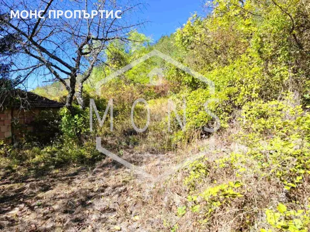 Поземлен имот за продажба в с. Присово, обл. В. Търново, снимка 10 - Парцели - 48976591