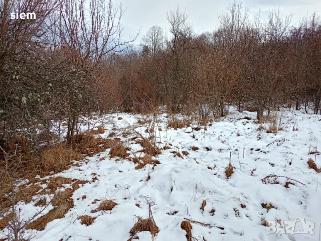 Дворно място/ Парцел 1000 кв.м, снимка 2 - Парцели - 33885672