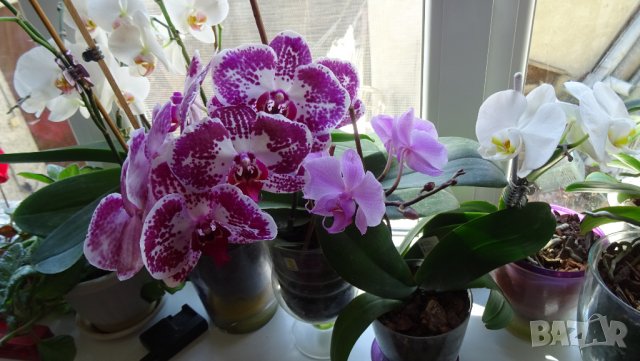 TECHNICS -дистанционни, снимка 4 - Аудиосистеми - 28712211