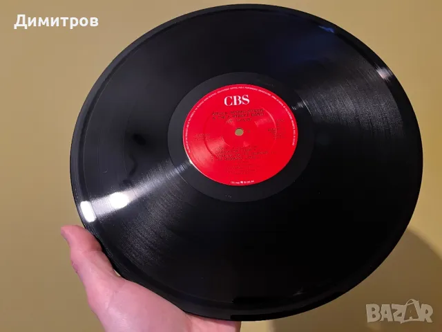 Колекция Bruce Springsteen, снимка 14 - Грамофонни плочи - 49531645