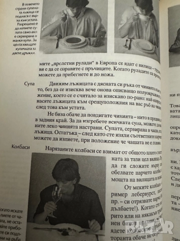 Добрите обноски-Ханс-Георг Шнитцер, снимка 15 - Енциклопедии, справочници - 51837894