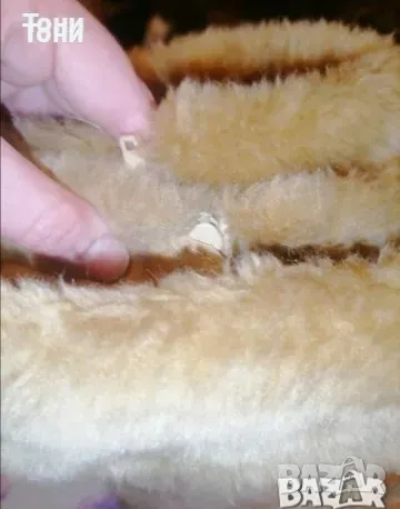 Dreams Натурален Велур Дамски Ботуши 39, снимка 6 - Дамски ботуши - 50436567