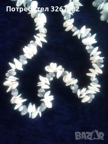 Гердани,Кубински,Редки Морски Раковини, снимка 7 - Колиета, медальони, синджири - 51310916