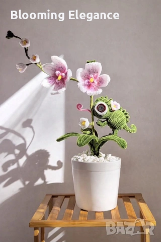 Вечна орхидея с хамелеон