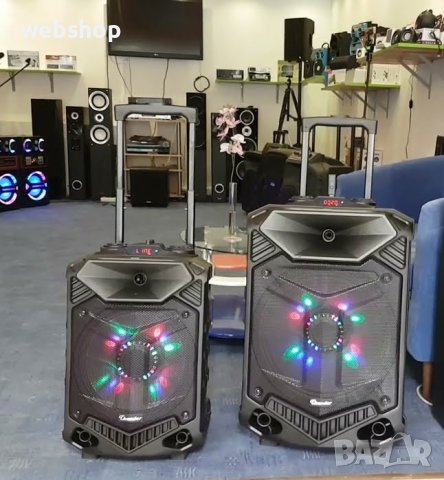 Преносима Караоке Тонколона Thunder THS-B1502BTW, 15 инча, 2 Микрофона, Акумулатор, Bluetooth, USB, снимка 1