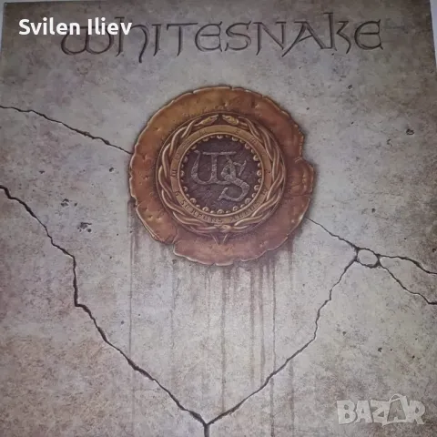 Гр.плоча,60 лв, снимка 1